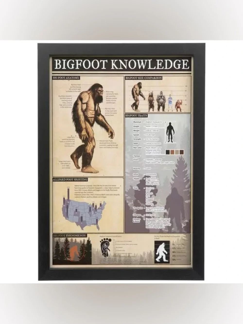 Bigfoot Knowledge Wood Wall Decor